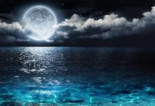 BEDİÜZZAMAN’A GÖRE MUCİZE KAVRAMI VE EHL-İ BEYT’İN SİYASİ MİSYONLARI