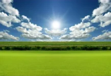 UFUK EFE’NİN FERASETLİ TESPİTLERİ VE İSABETLİ TAHLİLLERİ